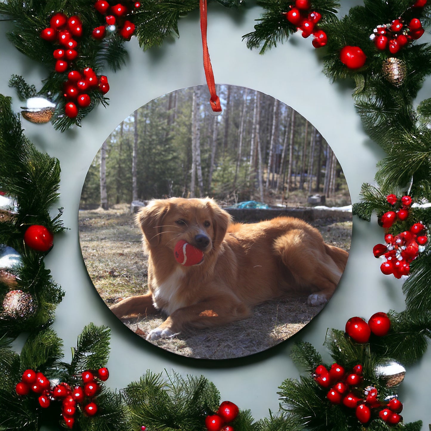 Custom Pet Photo Ornament, Personalized Dog and Cat Keepsake for Your Christmas Tree