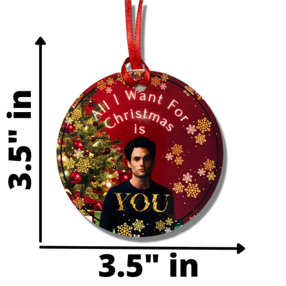 YOU Joe Goldberg Christmas Ornament All I Want Is You 6